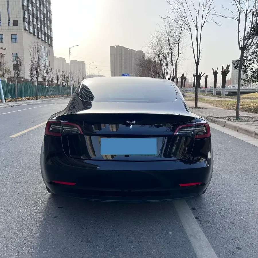 2021 Tesla Model 3 BEV 55KWH,autocango,china used car exporter,china ev exporter,chinese used car exporter,chinese used ev exporter