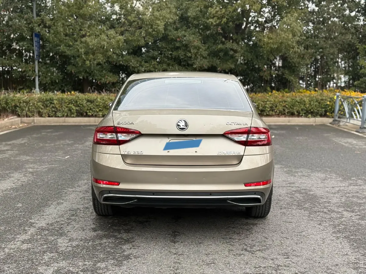 2018 Skoda Octavia 1.2T 116HP L4 7DCT,autocango,china used car exporter,china ev exporter,chinese used car exporter,chinese used ev exporter