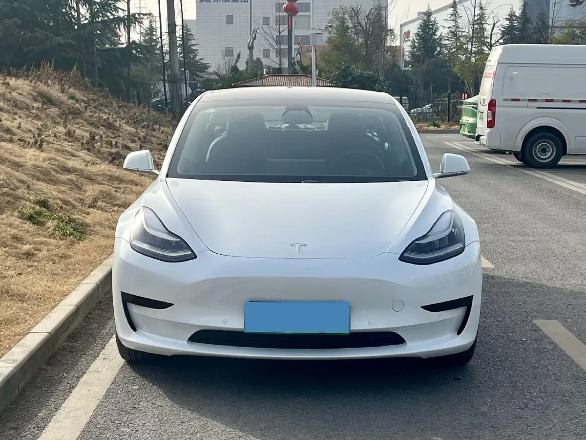 2020 Tesla Model 3 BEV 55KWH,autocango,china used car exporter,china ev exporter,chinese used car exporter,chinese used ev exporter