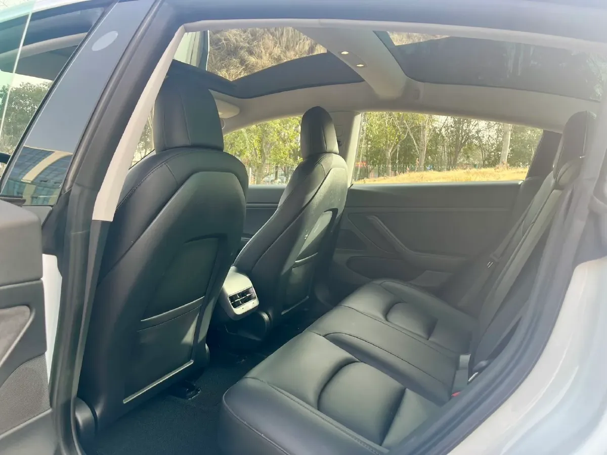 2020 Tesla Model 3 BEV 55KWH,autocango,china used car exporter,china ev exporter,chinese used car exporter,chinese used ev exporter