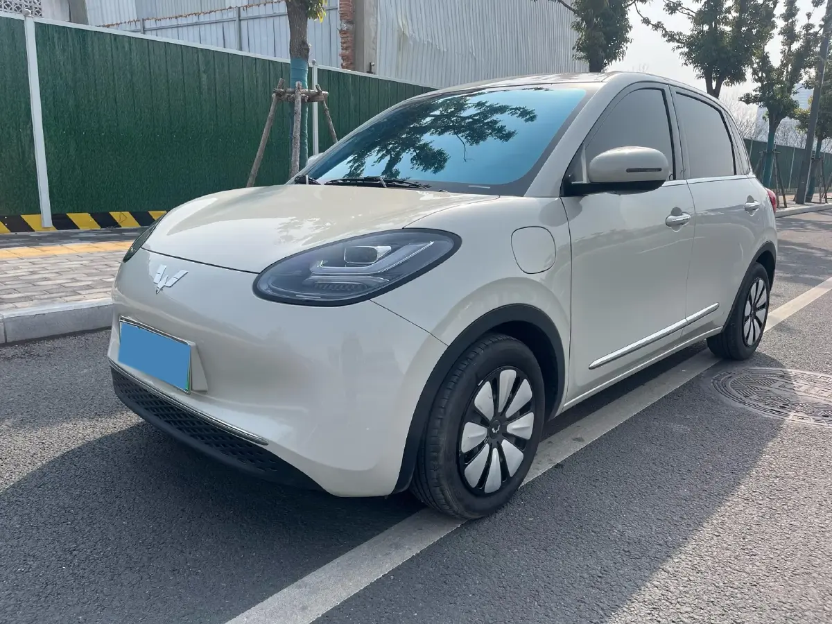 2023 WuLing BinGuo BEV 31.9KWH