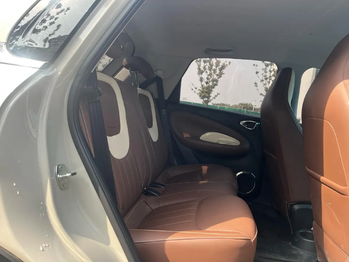 2023 WuLing BinGuo BEV 31.9KWH,autocango,china used car exporter,china ev exporter,chinese used car exporter,chinese used ev exporter