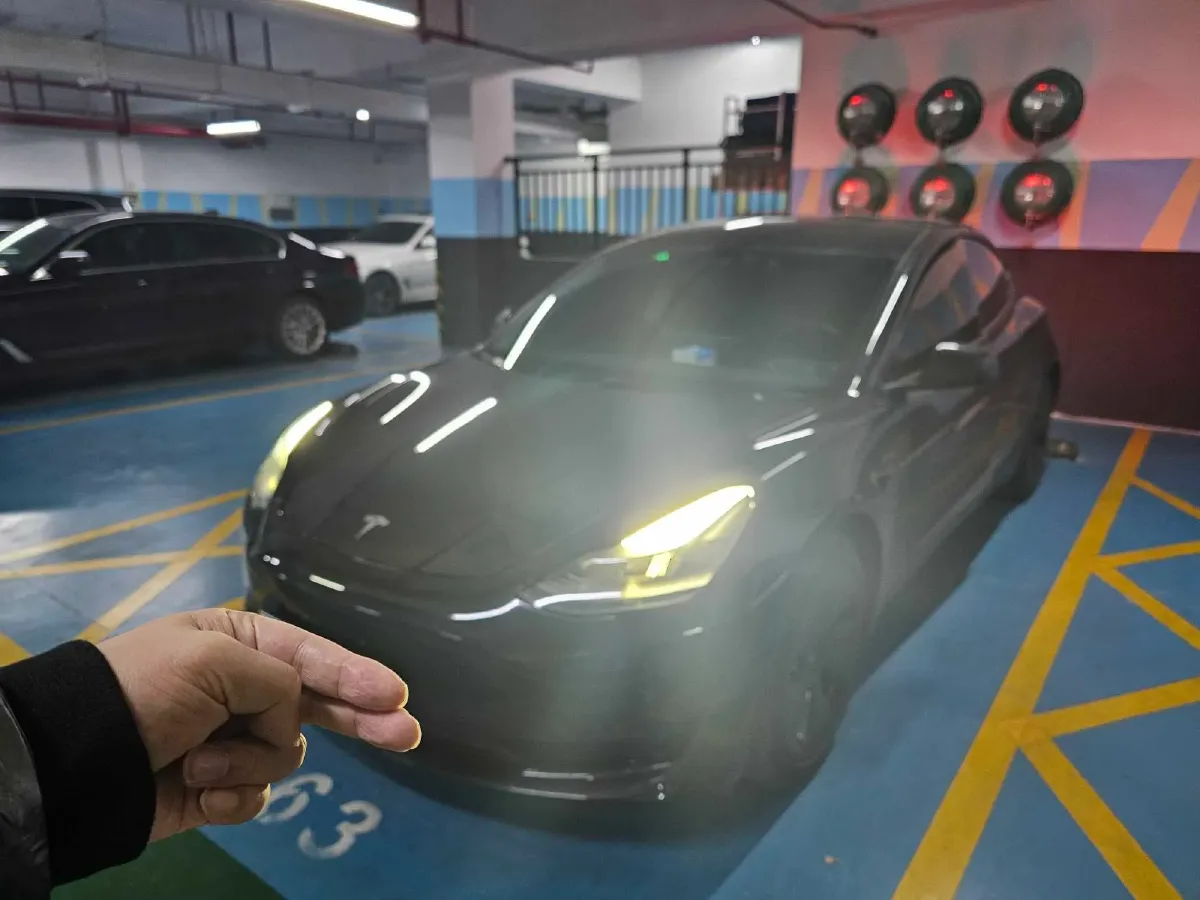 2021 Tesla Model 3 BEV 55KWH,autocango,china used car exporter,china ev exporter,chinese used car exporter,chinese used ev exporter