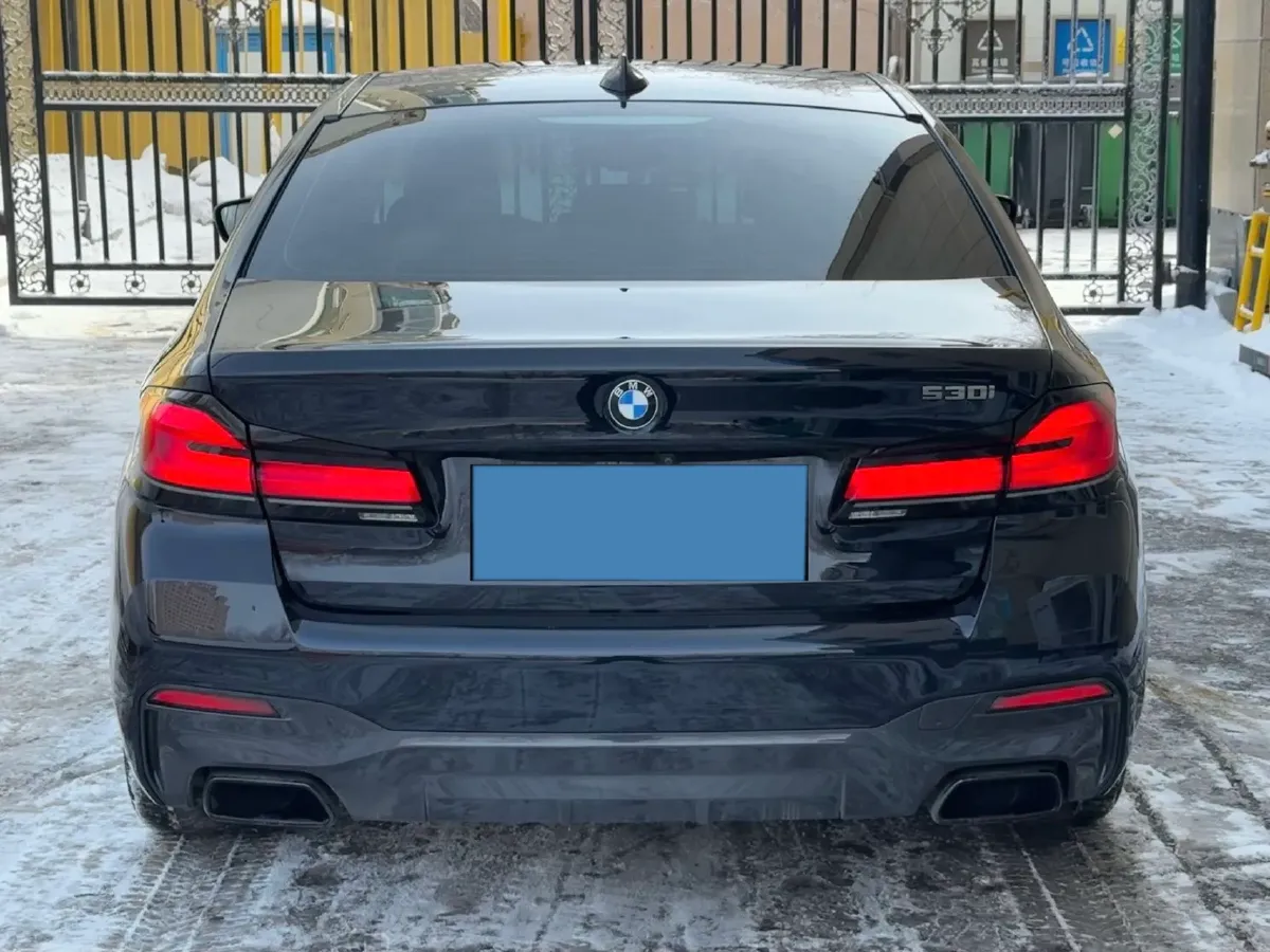 2021 BMW 5 Series 2.0T 252HP L4 8AT,autocango,china used car exporter,china ev exporter,chinese used car exporter,chinese used ev exporter