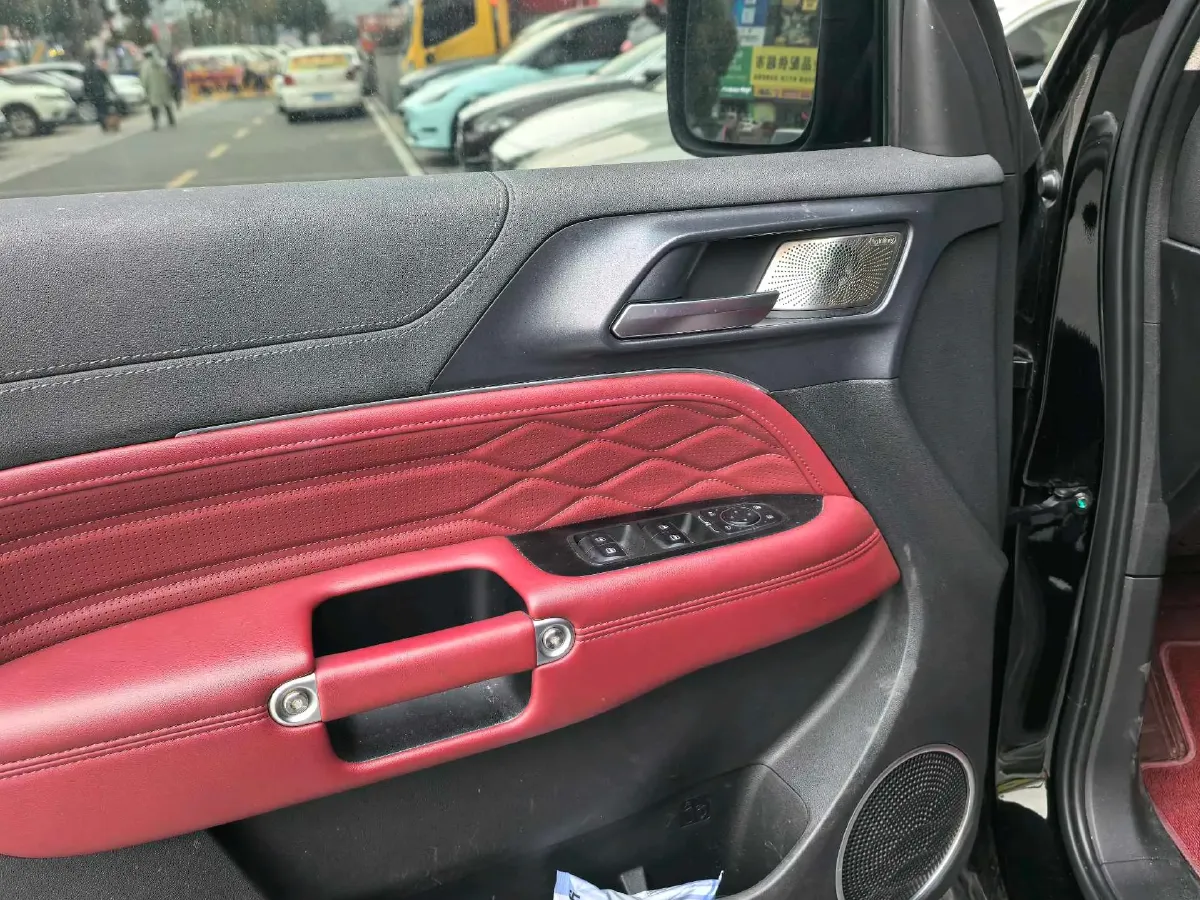 2024 Tank 300 2.0T 252HP L4 9AT,autocango,china used car exporter,china ev exporter,chinese used car exporter,chinese used ev exporter