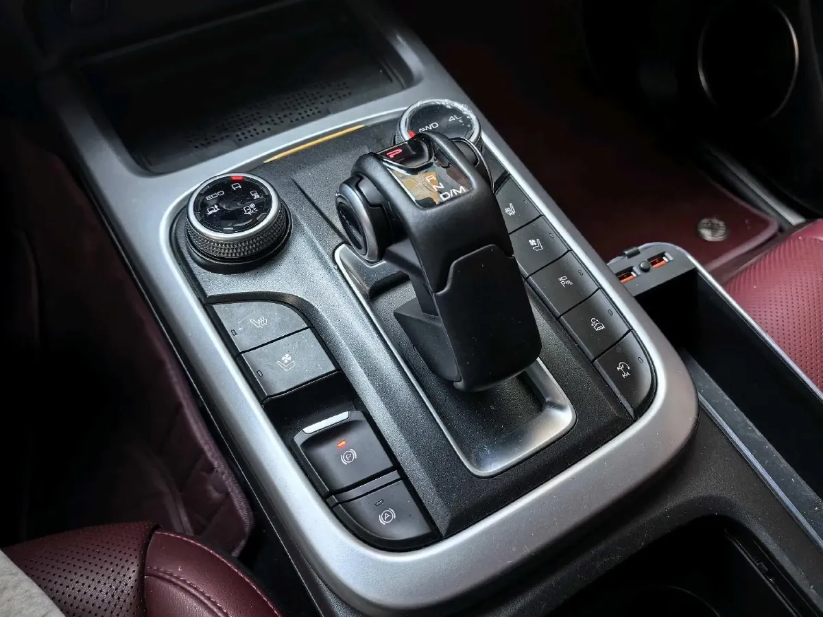 2024 Tank 300 2.0T 252HP L4 9AT,autocango,china used car exporter,china ev exporter,chinese used car exporter,chinese used ev exporter