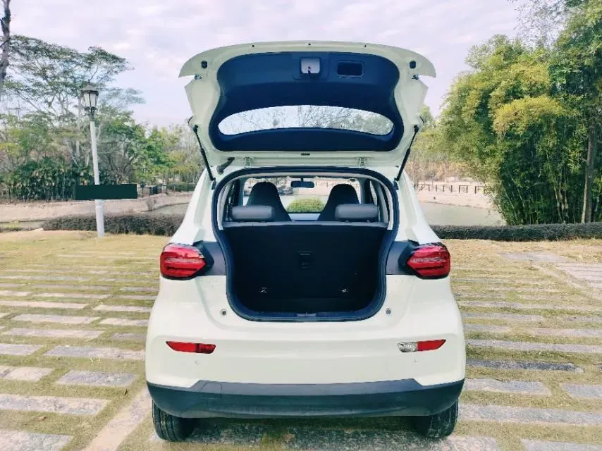 2024 Leapmotor T03 BEV 41.3KWH,autocango,china used car exporter,china ev exporter,chinese used car exporter,chinese used ev exporter