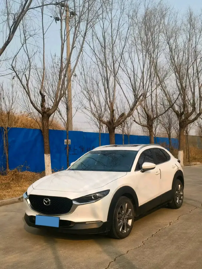 2019 Mazda 3 Axela 2.0L 158HP L4 6AT