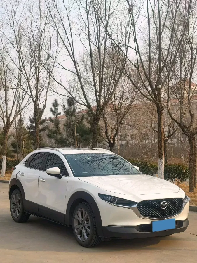 2019 Mazda 3 Axela 2.0L 158HP L4 6AT,autocango,china used car exporter,china ev exporter,chinese used car exporter,chinese used ev exporter