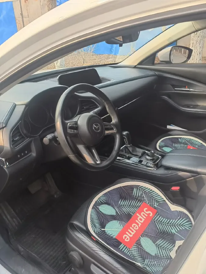 2019 Mazda 3 Axela 2.0L 158HP L4 6AT,autocango,china used car exporter,china ev exporter,chinese used car exporter,chinese used ev exporter