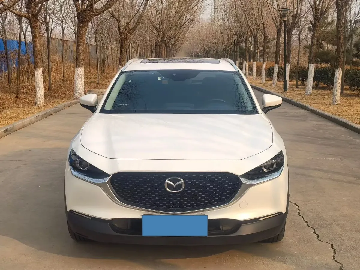 2019 Mazda 3 Axela 2.0L 158HP L4 6AT,autocango,china used car exporter,china ev exporter,chinese used car exporter,chinese used ev exporter