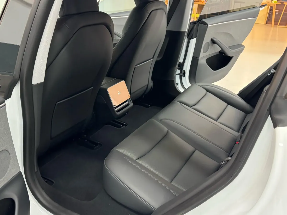 2025 Tesla Model 3 BEV,autocango,china used car exporter,china ev exporter,chinese used car exporter,chinese used ev exporter