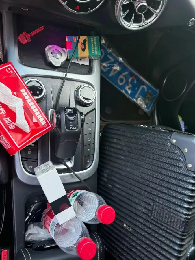 2021 Tank 300 2.0T 227HP L4 8AT,autocango,china used car exporter,china ev exporter,chinese used car exporter,chinese used ev exporter