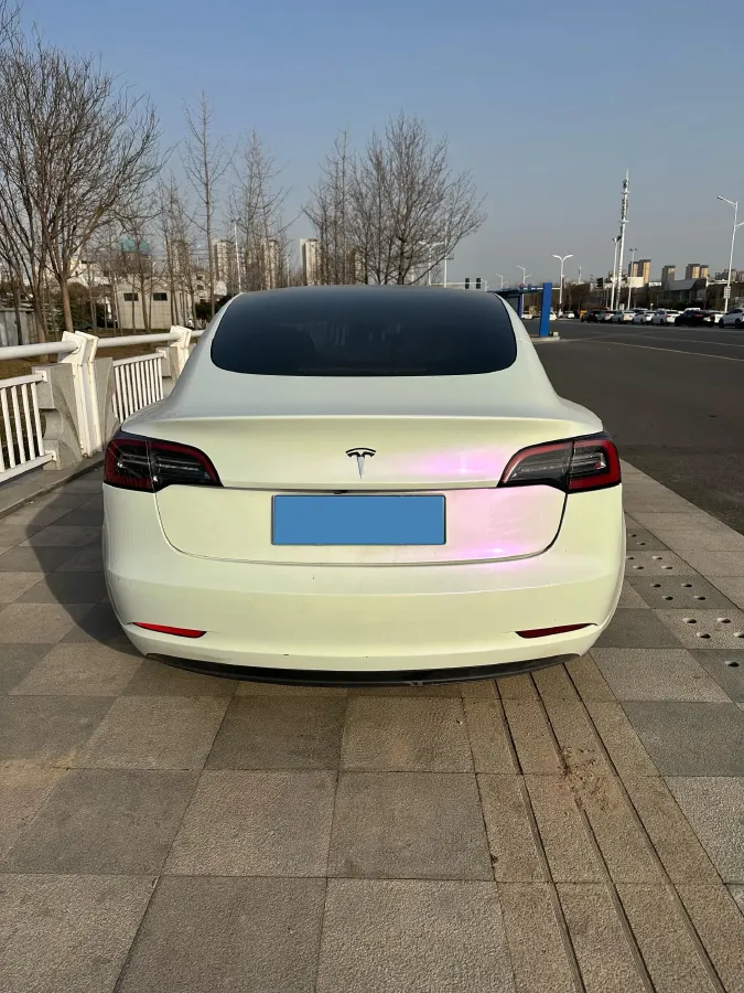2022 Tesla Model 3 BEV 60KWH,autocango,china used car exporter,china ev exporter,chinese used car exporter,chinese used ev exporter