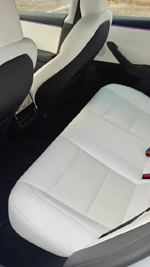 2025 Tesla Model 3 BEV 62.5KWH,autocango,china used car exporter,china ev exporter,chinese used car exporter,chinese used ev exporter