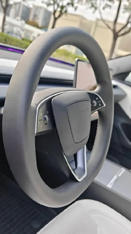 2025 Tesla Model 3 BEV 62.5KWH,autocango,china used car exporter,china ev exporter,chinese used car exporter,chinese used ev exporter