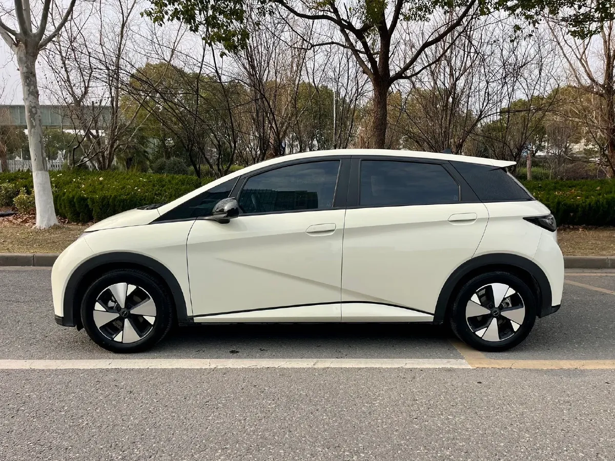 2023 BYD Dolphin BEV 44.928KWH,autocango,china used car exporter,china ev exporter,chinese used car exporter,chinese used ev exporter