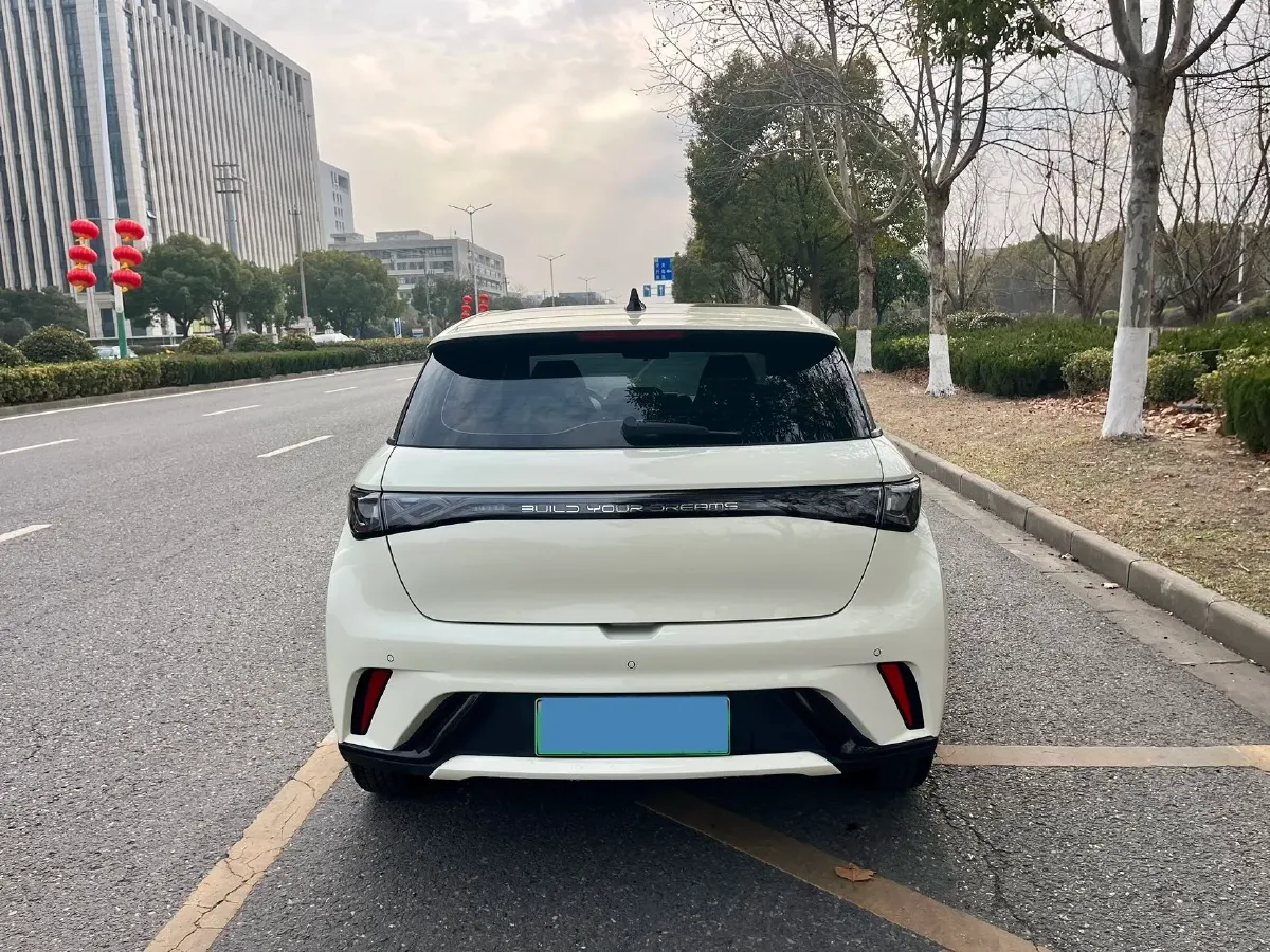 2023 BYD Dolphin BEV 44.928KWH,autocango,china used car exporter,china ev exporter,chinese used car exporter,chinese used ev exporter