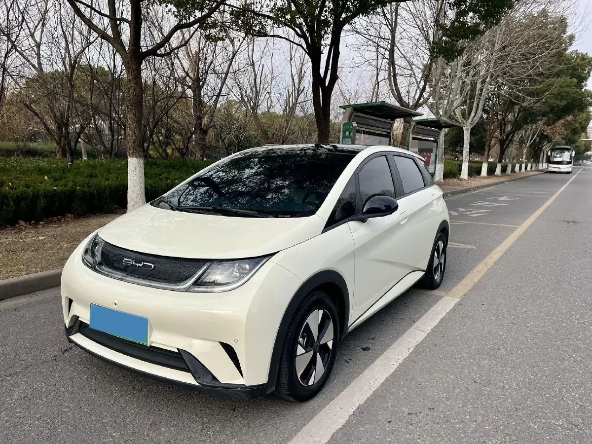 2023 BYD Dolphin BEV 44.928KWH