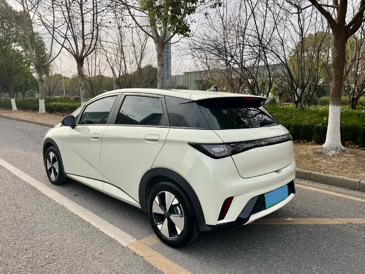 2023 BYD Dolphin BEV 44.928KWH,autocango,china used car exporter,china ev exporter,chinese used car exporter,chinese used ev exporter