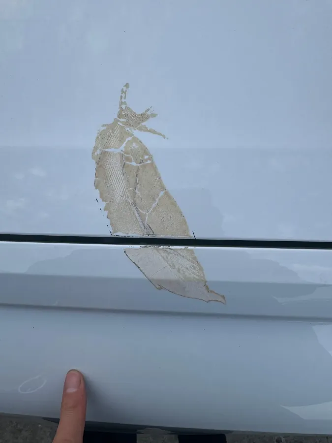 2021 Audi Q3 1.4T 150HP L4 7DCT,autocango,china used car exporter,china ev exporter,chinese used car exporter,chinese used ev exporter