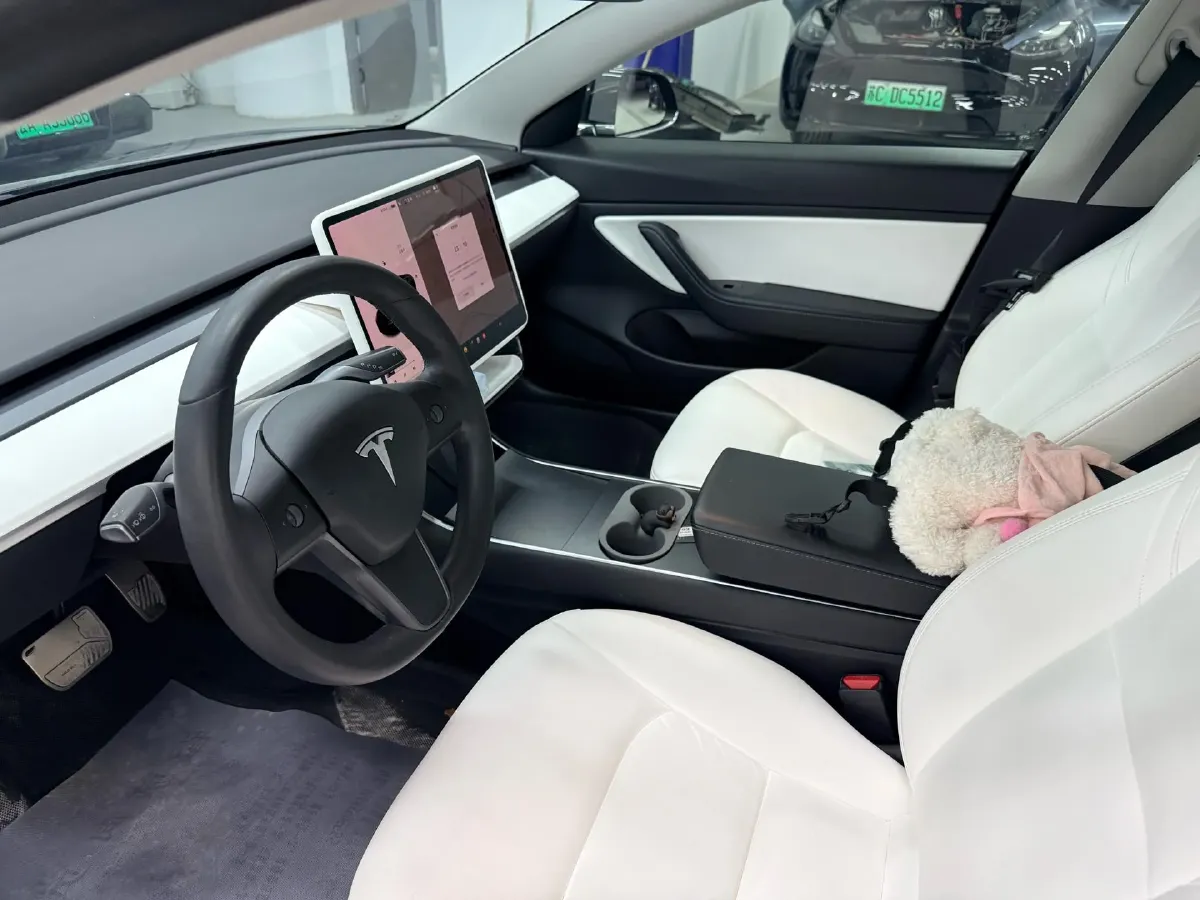 2020 Tesla Model 3 BEV 55KWH,autocango,china used car exporter,china ev exporter,chinese used car exporter,chinese used ev exporter