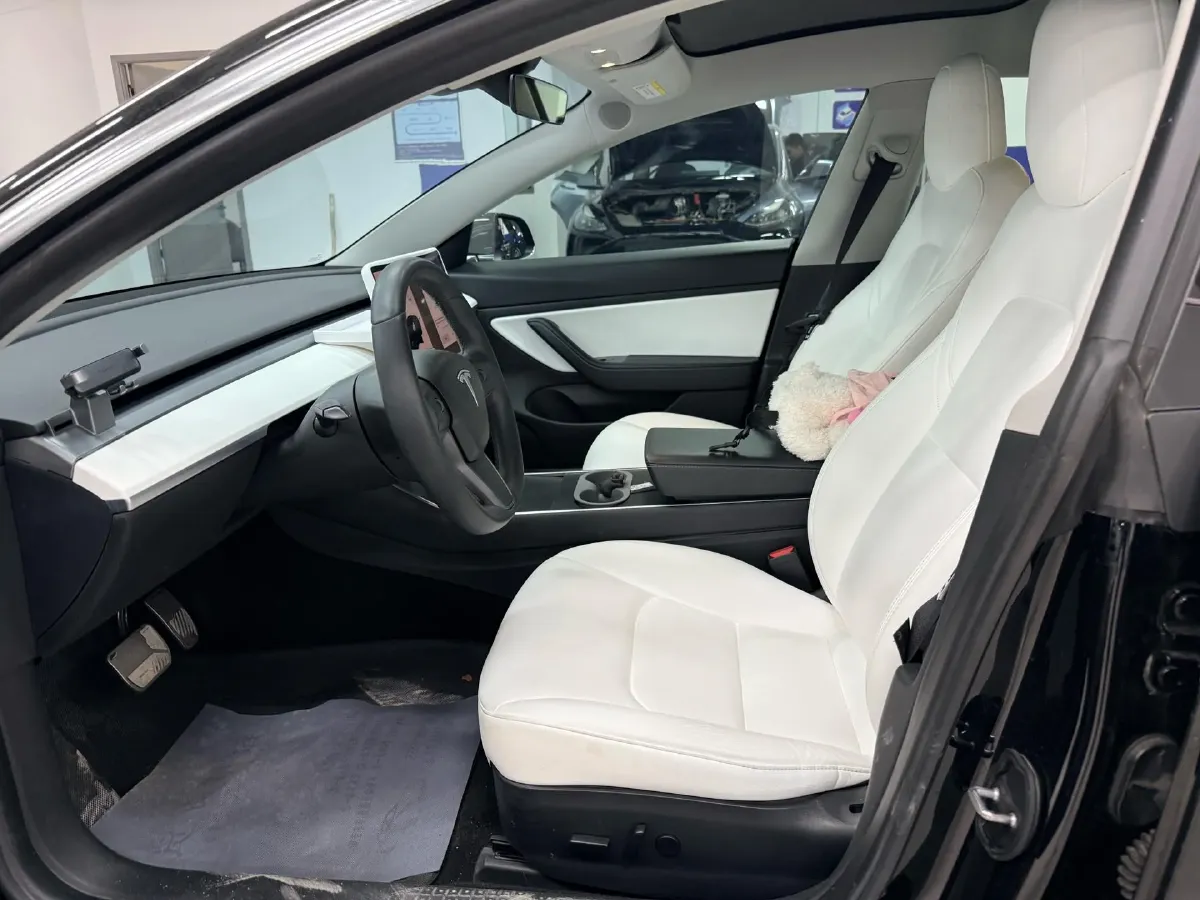 2020 Tesla Model 3 BEV 55KWH,autocango,china used car exporter,china ev exporter,chinese used car exporter,chinese used ev exporter