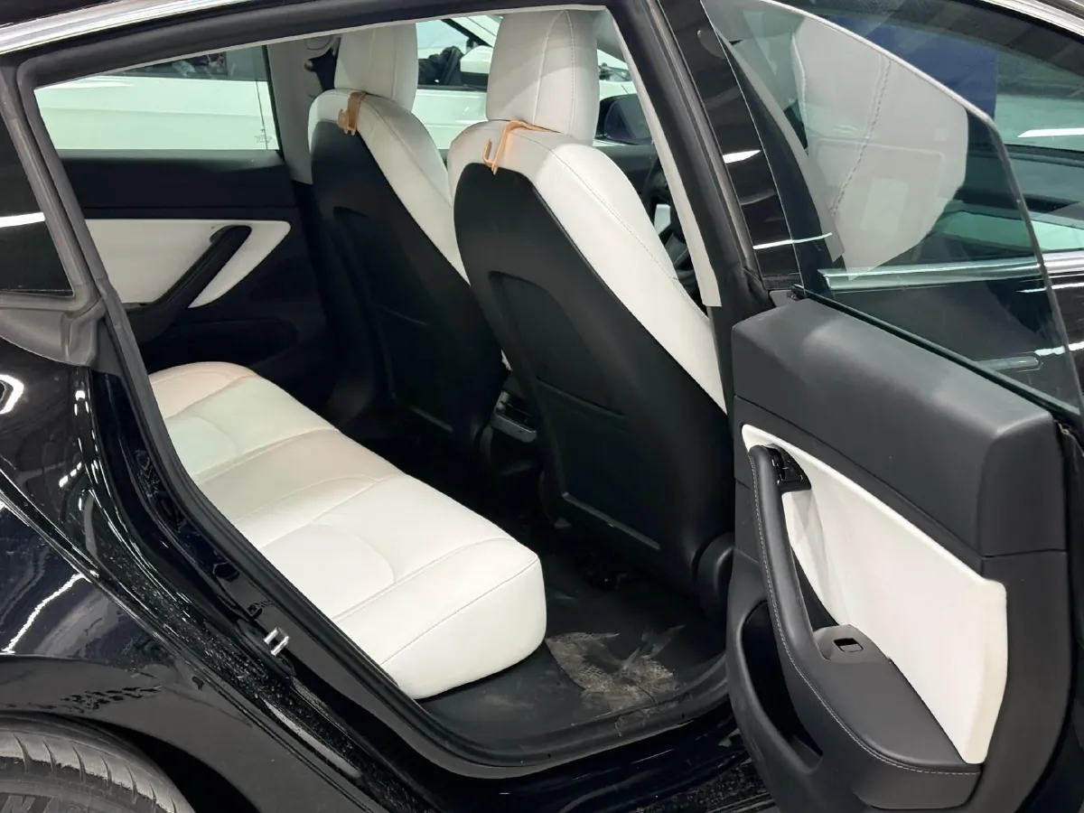 2020 Tesla Model 3 BEV 55KWH,autocango,china used car exporter,china ev exporter,chinese used car exporter,chinese used ev exporter