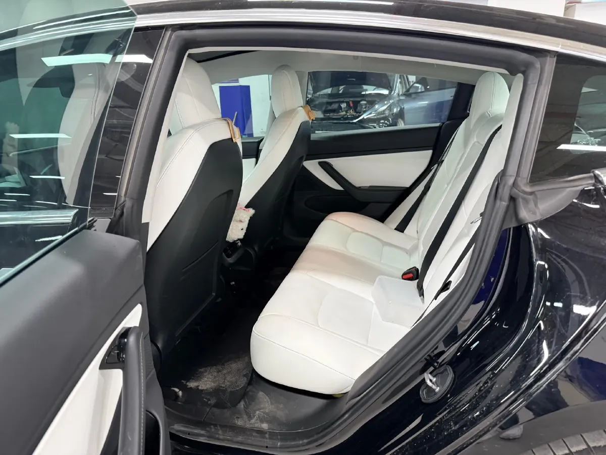 2020 Tesla Model 3 BEV 55KWH,autocango,china used car exporter,china ev exporter,chinese used car exporter,chinese used ev exporter