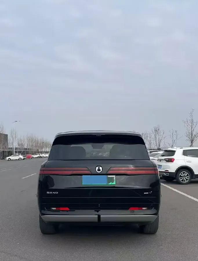 2025 Denza DenzaN9 2.0T 207HP L4 E-CVT PHEV,autocango,china used car exporter,china ev exporter,chinese used car exporter,chinese used ev exporter