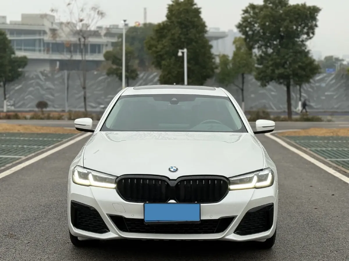 2021 BMW 5 Series 2.0T 252HP L4 8AT,autocango,china used car exporter,china ev exporter,chinese used car exporter,chinese used ev exporter