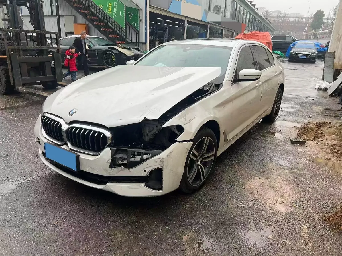 2021 BMW 5 Series 2.0T 252HP L4 8AT,autocango,china used car exporter,china ev exporter,chinese used car exporter,chinese used ev exporter