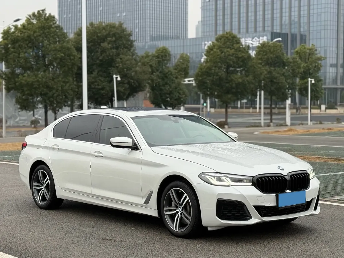 2021 BMW 5 Series 2.0T 252HP L4 8AT,autocango,china used car exporter,china ev exporter,chinese used car exporter,chinese used ev exporter
