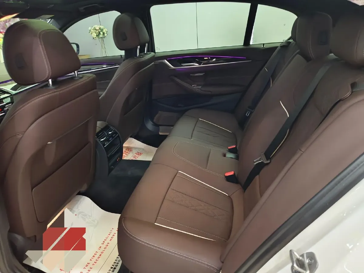 2021 BMW 5 Series 2.0T 184HP L4 8AT,autocango,china used car exporter,china ev exporter,chinese used car exporter,chinese used ev exporter