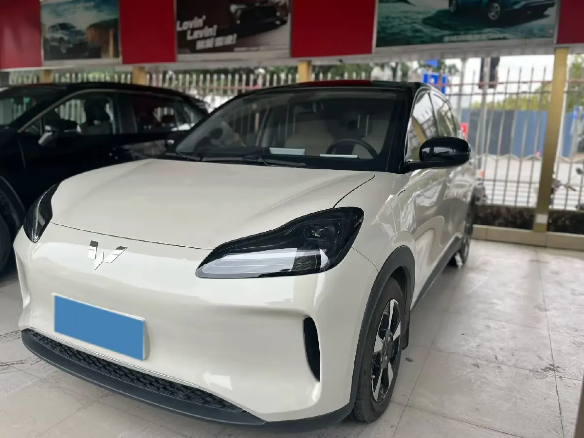 2024 WuLing BinGuoPLUS BEV 37.9KWH,autocango,china used car exporter,china ev exporter,chinese used car exporter,chinese used ev exporter