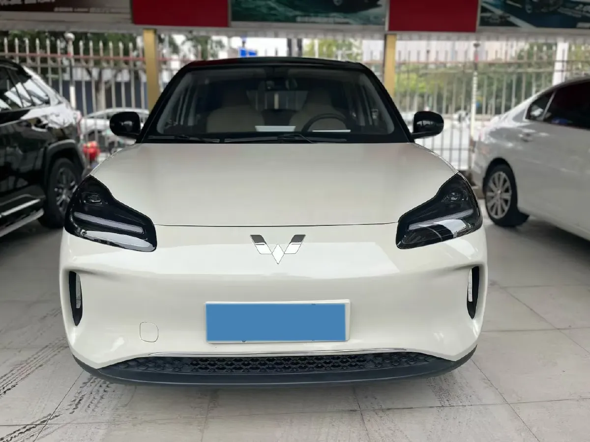 2024 WuLing BinGuoPLUS BEV 37.9KWH,autocango,china used car exporter,china ev exporter,chinese used car exporter,chinese used ev exporter