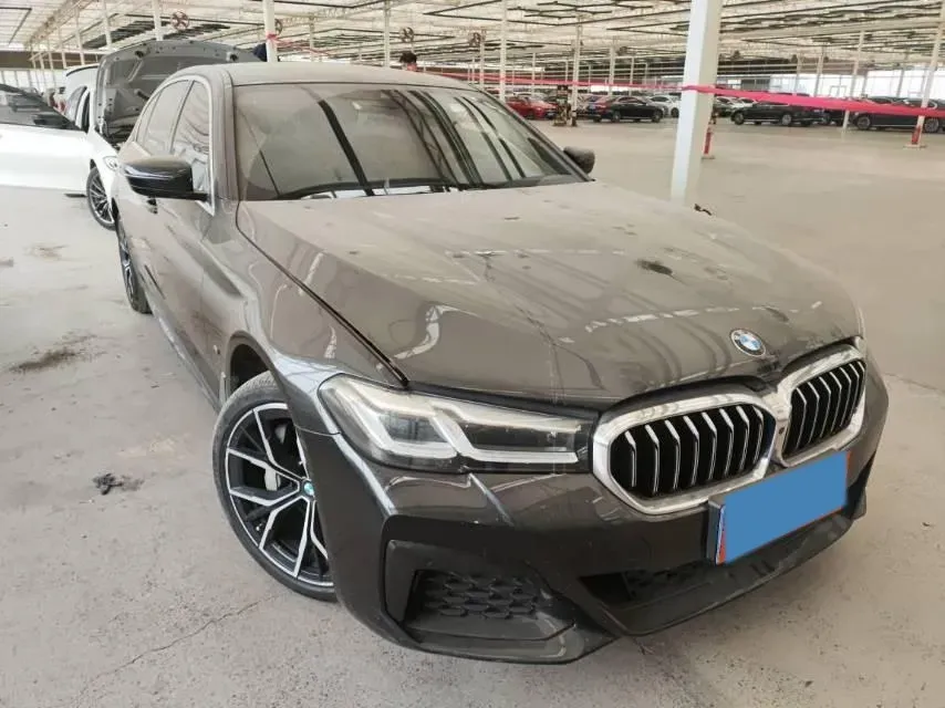 2021 BMW 5 Series 2.0T 252HP L4 8AT,autocango,china used car exporter,china ev exporter,chinese used car exporter,chinese used ev exporter