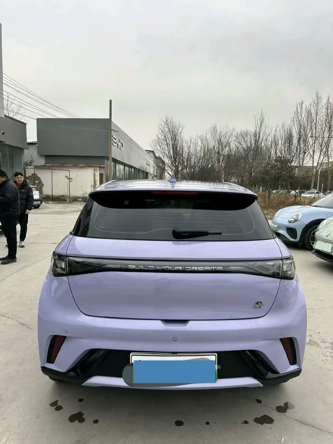 2023 BYD Dolphin BEV 44.928KWH,autocango,china used car exporter,china ev exporter,chinese used car exporter,chinese used ev exporter