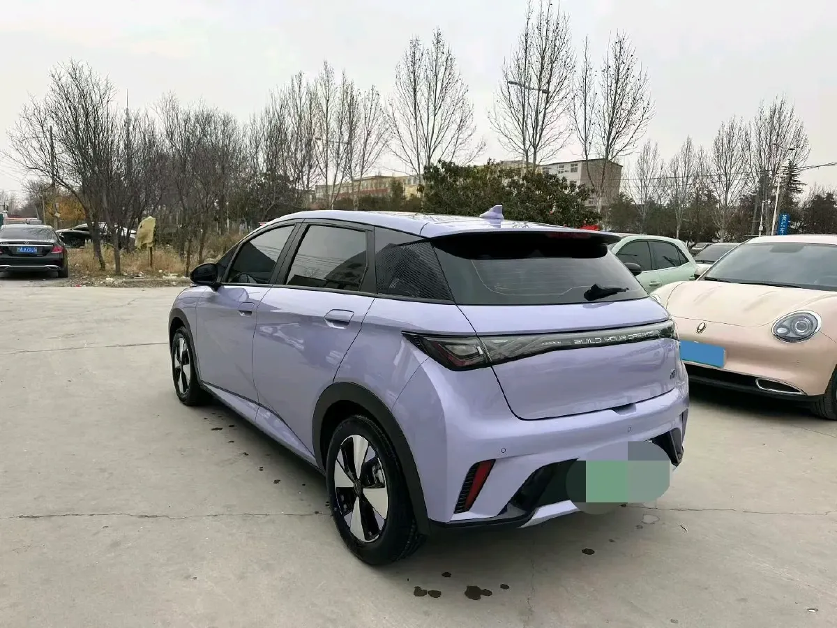 2023 BYD Dolphin BEV 44.928KWH,autocango,china used car exporter,china ev exporter,chinese used car exporter,chinese used ev exporter