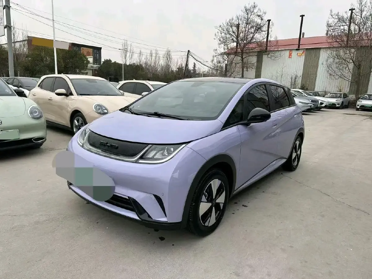 2023 BYD Dolphin BEV 44.928KWH