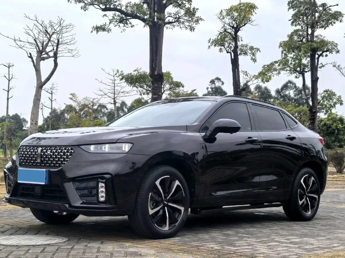 2020 WEY VV7 GT 2.0T 227HP L4 7DCT