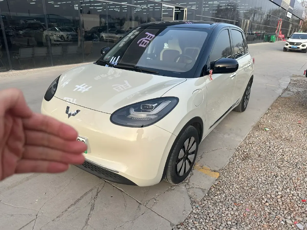 2023 WuLing BinGuo BEV 31.9KWH