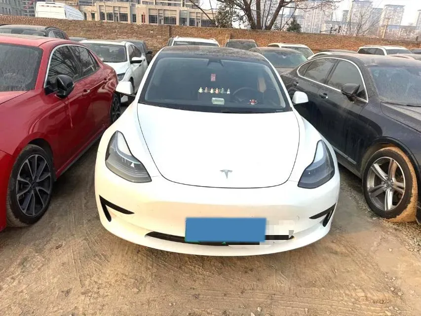 2021 Tesla Model 3 BEV 55KWH,autocango,china used car exporter,china ev exporter,chinese used car exporter,chinese used ev exporter