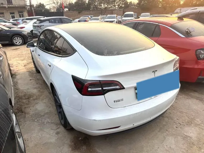 2021 Tesla Model 3 BEV 55KWH,autocango,china used car exporter,china ev exporter,chinese used car exporter,chinese used ev exporter