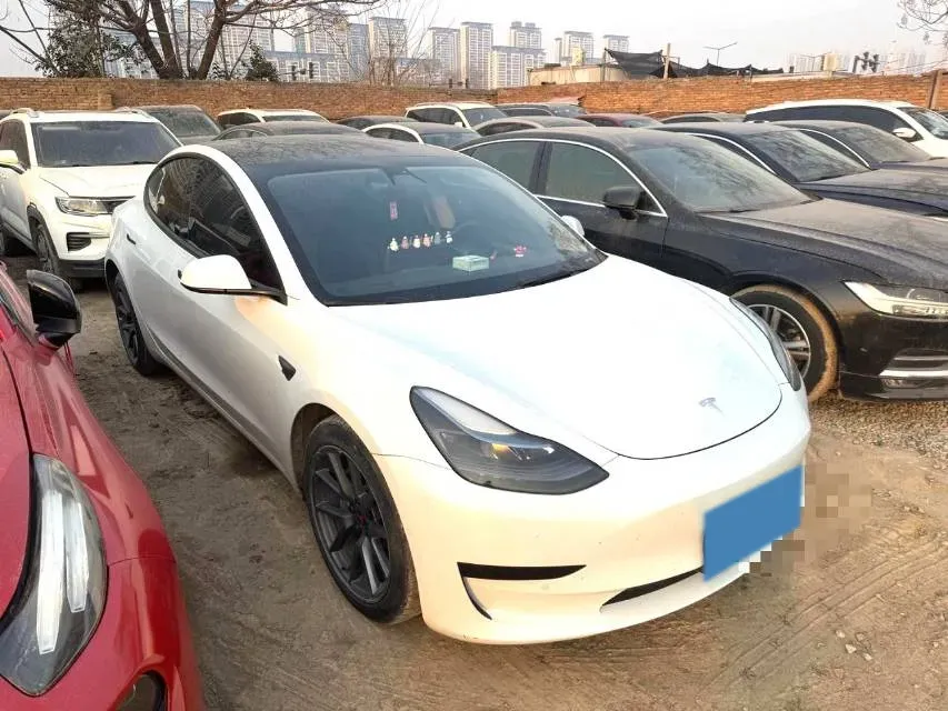 2021 Tesla Model 3 BEV 55KWH,autocango,china used car exporter,china ev exporter,chinese used car exporter,chinese used ev exporter