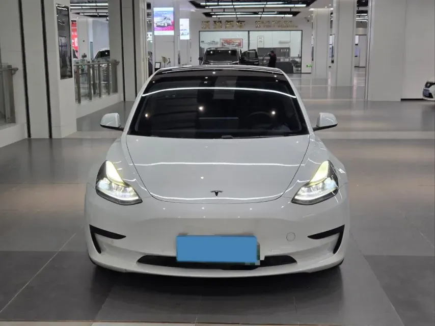 2021 Tesla Model 3 BEV 55KWH,autocango,china used car exporter,china ev exporter,chinese used car exporter,chinese used ev exporter