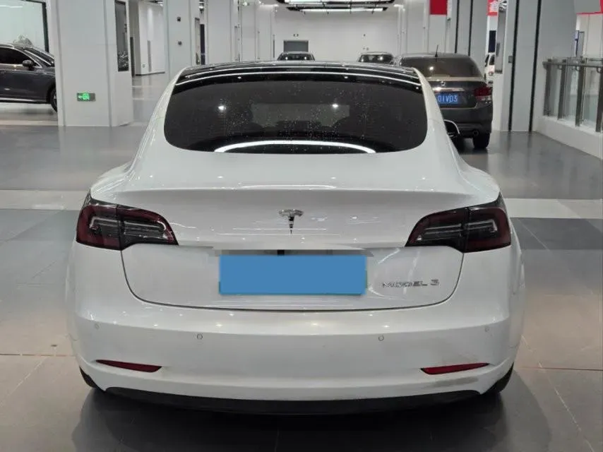 2021 Tesla Model 3 BEV 55KWH,autocango,china used car exporter,china ev exporter,chinese used car exporter,chinese used ev exporter