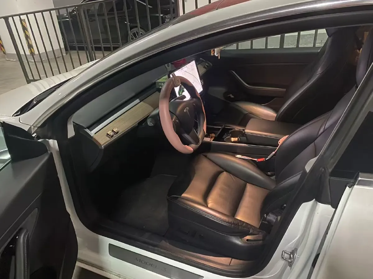 2020 Tesla Model 3 BEV 52KWH,autocango,china used car exporter,china ev exporter,chinese used car exporter,chinese used ev exporter