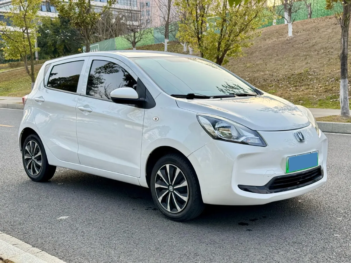 2021 ChangAn BenBen E-Star BEV 31.95KWH,autocango,china used car exporter,china ev exporter,chinese used car exporter,chinese used ev exporter