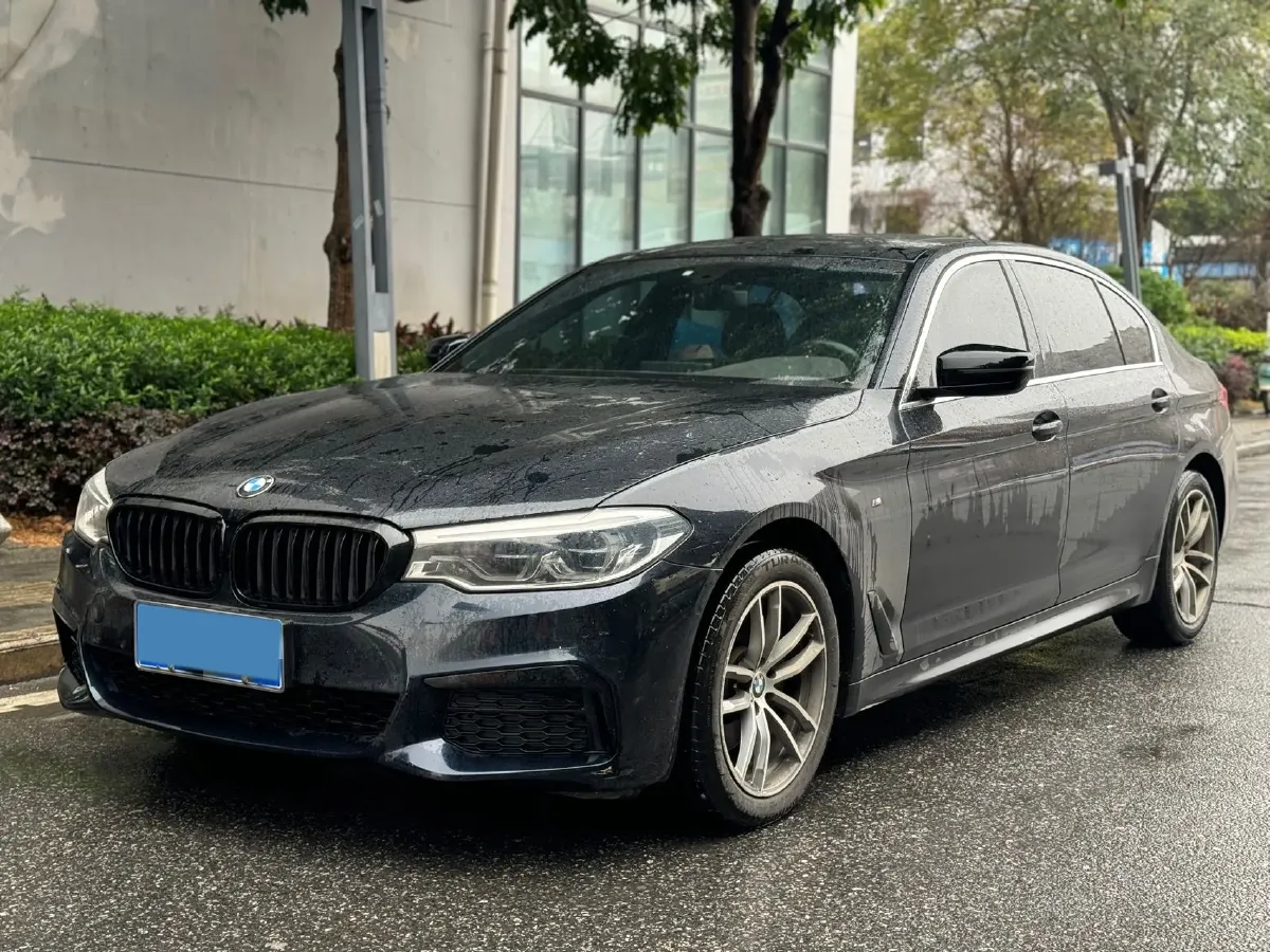 2020 BMW 5 Series 2.0T 184HP L4 8AT,autocango,china used car exporter,china ev exporter,chinese used car exporter,chinese used ev exporter